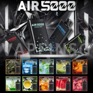 SP2 Air 5000 Puffs disposable vape device with mesh coil and adjustable airflow - Singapore fast delivery