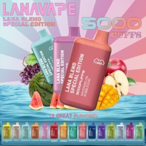 Lana Blend 5000 Puffs Rechargeable Disposable Vape - Singapore Fast Delivery