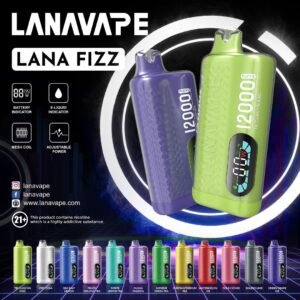 Lana Fizz 12000 Puffs Double Mango Ice Flavour Disposable Vape Pod SG